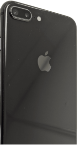 b1